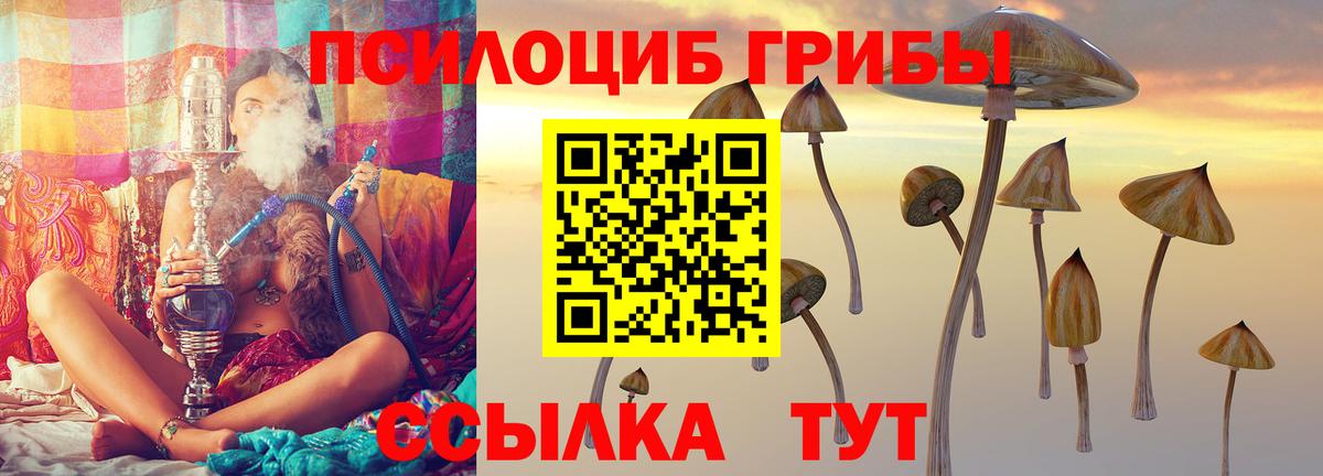 Галлюциногенные грибы Cubensis Павлово