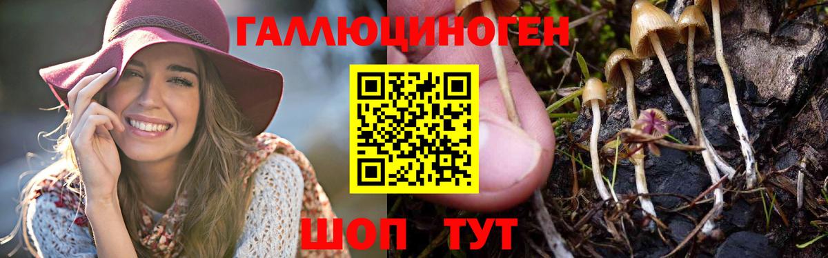 Галлюциногенные грибы MAGIC MUSHROOMS  Псилоцибиновые грибы Psilocybine cubensis  Павлово  Вход с VPN 