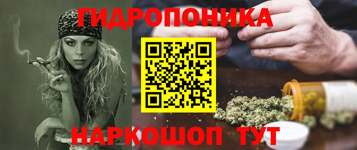 Канабис VHQ Павлово
